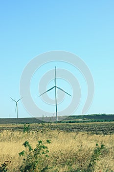 Wind turbines energy converters on wild grass field Local eco friendly wind farm background Green ecological electricity