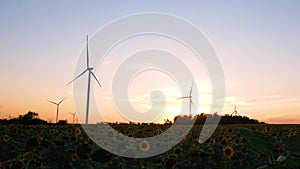 Wind turbines energy converters on yellow sunflowers field on colorful sunset. Local eco friendly wind farm. Agriculture crops 4K