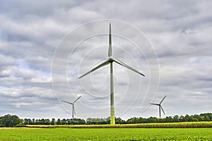 Wind turbines for environmentally friendly energy production on a field photo