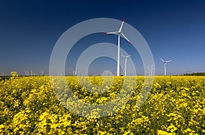 Wind turbines farm.