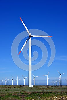 Wind turbines farm - alternative energy