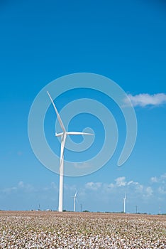 Wind turbines farm on cotton field at Corpus Christi, Texas, USA