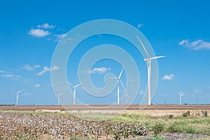 Wind turbines farm on cotton field at Corpus Christi, Texas, USA