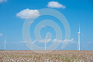 Wind turbines farm on cotton field at Corpus Christi, Texas, USA