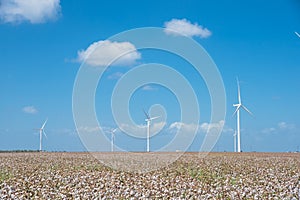 Wind turbines farm on cotton field at Corpus Christi, Texas, USA