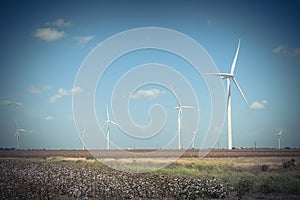 Wind turbines farm on cotton field at Corpus Christi, Texas, USA