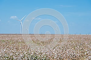 Wind turbines farm on cotton field at Corpus Christi, Texas, USA