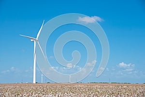 Wind turbines farm on cotton field at Corpus Christi, Texas, USA