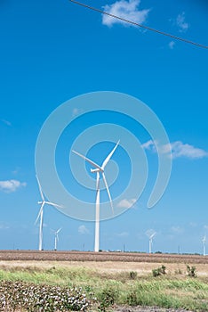 Wind turbines farm on cotton field at Corpus Christi, Texas, USA