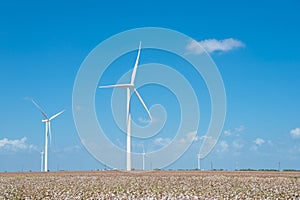 Wind turbines farm on cotton field at Corpus Christi, Texas, USA