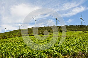 Wind turbines farm, Elgea range (Basque Country)