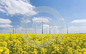 Wind turbines farm