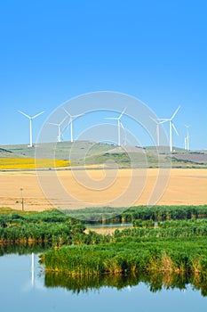 Wind turbines farm on a rural background