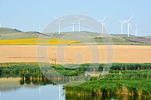 Wind turbines farm on a rural background