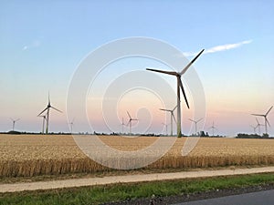 Wind turbines on field