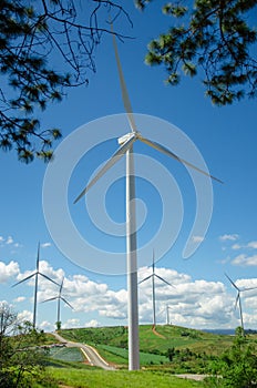 Wind turbines field