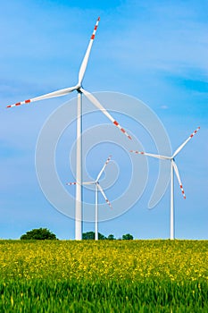 Wind turbines in the field