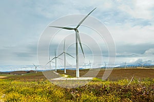 Wind turbines in field