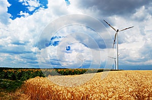 Wind turbines in a field