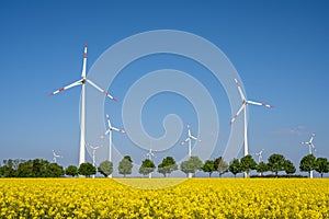 Wind turbines and a field of blooming rapeseed