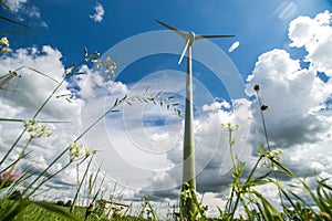 Wind turbines in the field and blue sky background