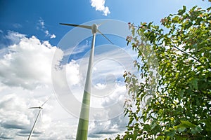 Wind turbines in the field and blue sky background