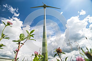 Wind turbines in the field and blue sky background