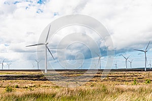 Wind turbines in a field and cloudy sky