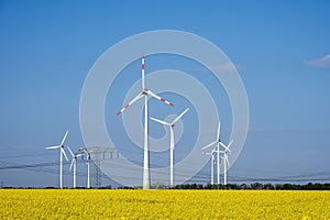 Wind turbines in a field of flowering rape seed