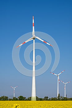 Wind turbines in a field of flowering rapeseed
