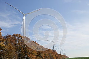 Wind turbines in a field and forest belt against a background of yellow leaves and blue sky. Eco power electricity. Wind Turbine