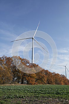 Wind turbines in a field and forest belt against a background of yellow leaves and blue sky. Eco power electricity. Wind Turbine