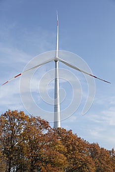 Wind turbines in a field and forest belt against a background of yellow leaves and blue sky. Eco power electricity. Wind Turbine