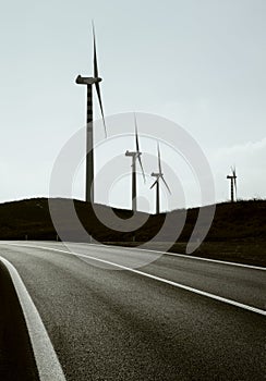 Wind turbines field near the road