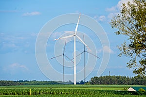 Wind turbines on the field. Renewable energy sources. Electricity generator turbines. Mills on the field. Energy and power.