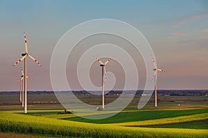 Wind turbines in field in spring time