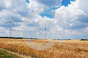 Wind turbines in a field under cloudy sky