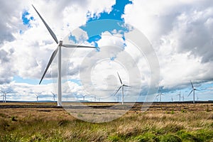 Wind turbines in a field under cloudy sky with patches of blue