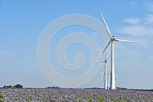 Wind turbines in a field with violet flowers