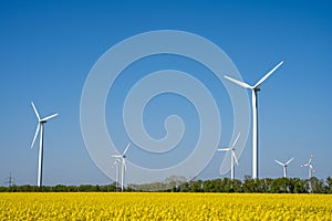 Wind turbines and a field of yellow rapeseed