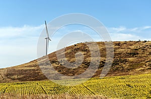 Wind Turbines in the fields