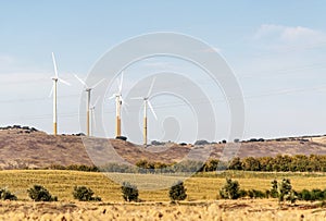 Wind Turbines in the fields
