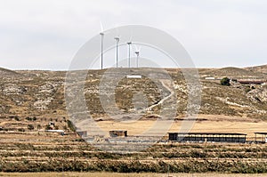 Wind Turbines in the fields