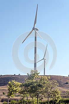 Wind Turbines in the fields