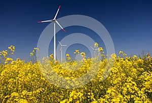 Wind turbines. Fields with windmills