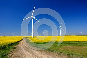 Wind turbines. Fields with windmills. Rapeseed field in bloom. Renewable energy