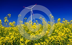 Wind turbines. Fields with windmills. Rapeseed field in bloom. Renewable energy. Protect the environment