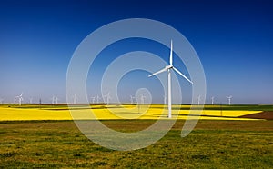 Wind turbines. Fields with windmills. Rapeseed field in bloom. Renewable energy. Protect the environment. Dobrogea, Romania