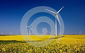 Wind turbines on fields with windmills in the Romanian region Dobrogea