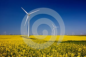Wind turbines. Fields with windmills